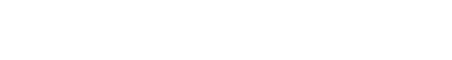 Prime Inteligence logo