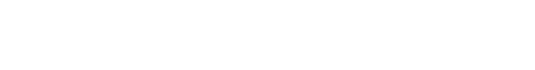 Prime Inteligence logo