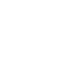 cybersecurity icon